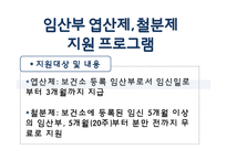 임신 수유부 영양프로그램(지역사회영양학, 국내영양프로그램, 철분제지원, 영양플러스, 마더세이프사업, 해외영양프로그램) PPT, 파워포인트-12