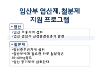 임신 수유부 영양프로그램(지역사회영양학, 국내영양프로그램, 철분제지원, 영양플러스, 마더세이프사업, 해외영양프로그램) PPT, 파워포인트-13