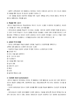 레지오 에밀리아 접근법에 의한 미술교육의 특징(레지오접근법, 레지오교육과정)-3
