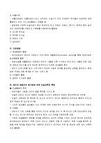 레지오 에밀리아 접근법에 의한 미술교육의 특징(레지오접근법, 레지오교육과정)-6