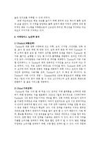 타오바오 Taobao 성공요인분석및 타오바오 마케팅 SWOT,STP,4P전략분석과 타오바오 문제점분석과 해결방안제안 레포트-8