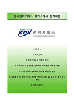 전력거래소 청년인턴(일반) 자기소개서, 전력거래소 합격자소서와 면접기출문제, 한국전력거래소자기소개서,KPX전력거래소자소서항목-1