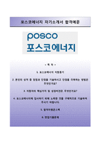 포스코에너지 고초대졸인턴 자기소개서, 포스코에너지합격자소서,포스코에너지면접기출문제-1