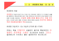 유로존의 재정위기와 해결방안-5