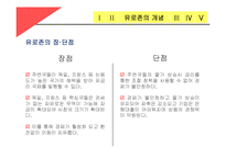 유로존의 재정위기와 해결방안-6