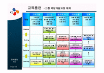 [인사관리] CJ인사제도-16