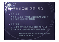 [점포와 소비자행동] 대형할인점환경에 따른 소비자행동-10