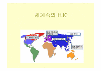[국제경영] 세계속의 HJC(홍진크라운)-1