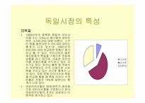 [국제경영] 세계속의 HJC(홍진크라운)-13
