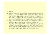 [국제경영] 세계속의 HJC(홍진크라운)-15