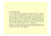 [국제경영] 세계속의 HJC(홍진크라운)-17