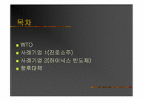[국제경영] WTO체제하에서의 기업들의 향후대책-2