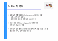 [유통관리] LG25 편의점분석-3