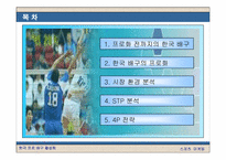 [스포츠마케팅] 한국 프로배구 활성화방안-2