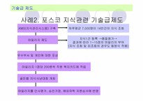 [인적자원관리] 국내외 기업의 성과주의 보상제도 도입사례-20