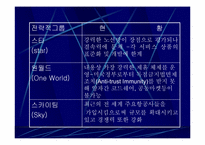 [항공경영론] 항공사간 전략적제휴 얼라이언스(Alliance)-3