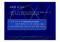 [항공경영론] 항공사간 전략적제휴 얼라이언스(Alliance)-7