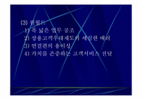 [항공경영론] 항공사간 전략적제휴 얼라이언스(Alliance)-11