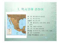 멕시코 음식문화-3
