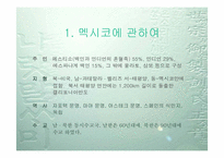 멕시코 음식문화-4