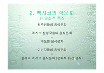 멕시코 음식문화-5
