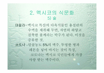 멕시코 음식문화-11