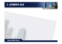 [인적자본론] 산학협력-11