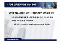 [인적자본론] 산학협력-19