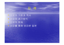 [일본문화] 일본문화 스모에 대해서-2