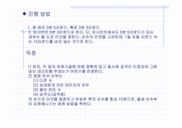 [일본문화]일본 `이종격투기 K-1`에 대해서-6