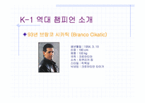 [일본문화]일본 `이종격투기 K-1`에 대해서-8