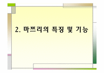 [일본문화]마쯔리에 대해서-5