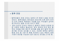 [국제관계] 한반도와 중국과의 관계-17