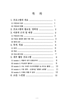 [의료사회사업론] 미혼모예방프로그램-2