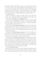 [지역사회복지론] 공민 사회복지부문의 파트너쉽 향상 방안-10