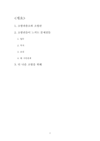 [인사행정] 소방서 일선관료체제의 문제점과 개선방안-2