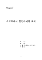 소프트웨어 불법복제의 폐해-1