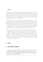 소프트웨어 불법복제의 폐해-4