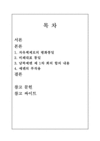 [국제관계] 예멘의 통일-2
