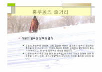 [중남미소설] 홍루몽에 관하여-8