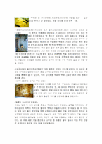 [한국전통문화] 한옥- 한국의 집과 부엌-13