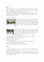 [한국전통문화] 한옥- 한국의 집과 부엌-15