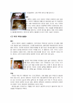 [한국전통문화] 한옥- 한국의 집과 부엌-17
