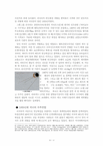 [러시아문화] 러시아의 우주산업-3
