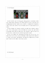 [러시아문화] 러시아의 식문화-11