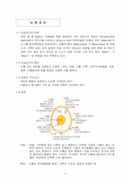 [실험조리] 마요네즈제조 및 특징 보고서-3