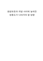 [지역환경] 환경보존과 개발 사이에 놓여진 영종도가 나아가야 할 방향-1