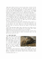 [지역환경] 환경보존과 개발 사이에 놓여진 영종도가 나아가야 할 방향-10