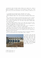 [지역환경] 환경보존과 개발 사이에 놓여진 영종도가 나아가야 할 방향-14