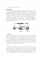 학습에 관한 행동주의와 인지주의 비교-10